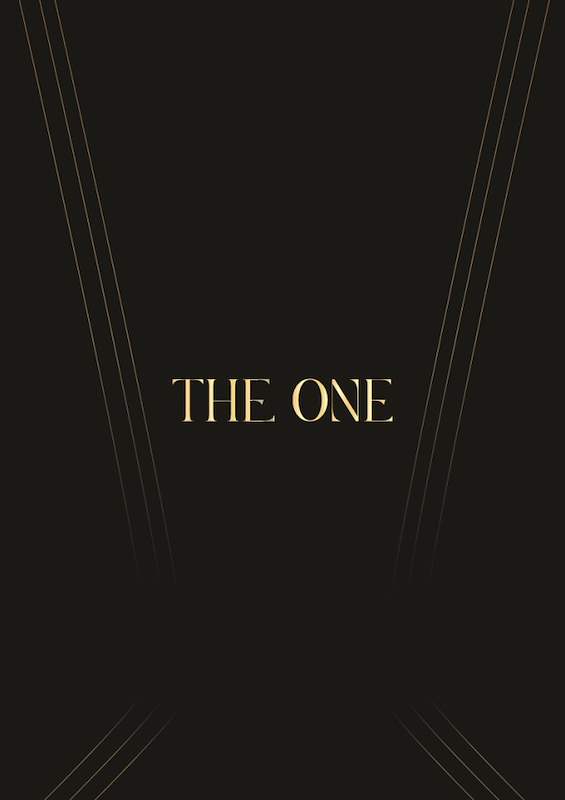 Info Brochure - The One